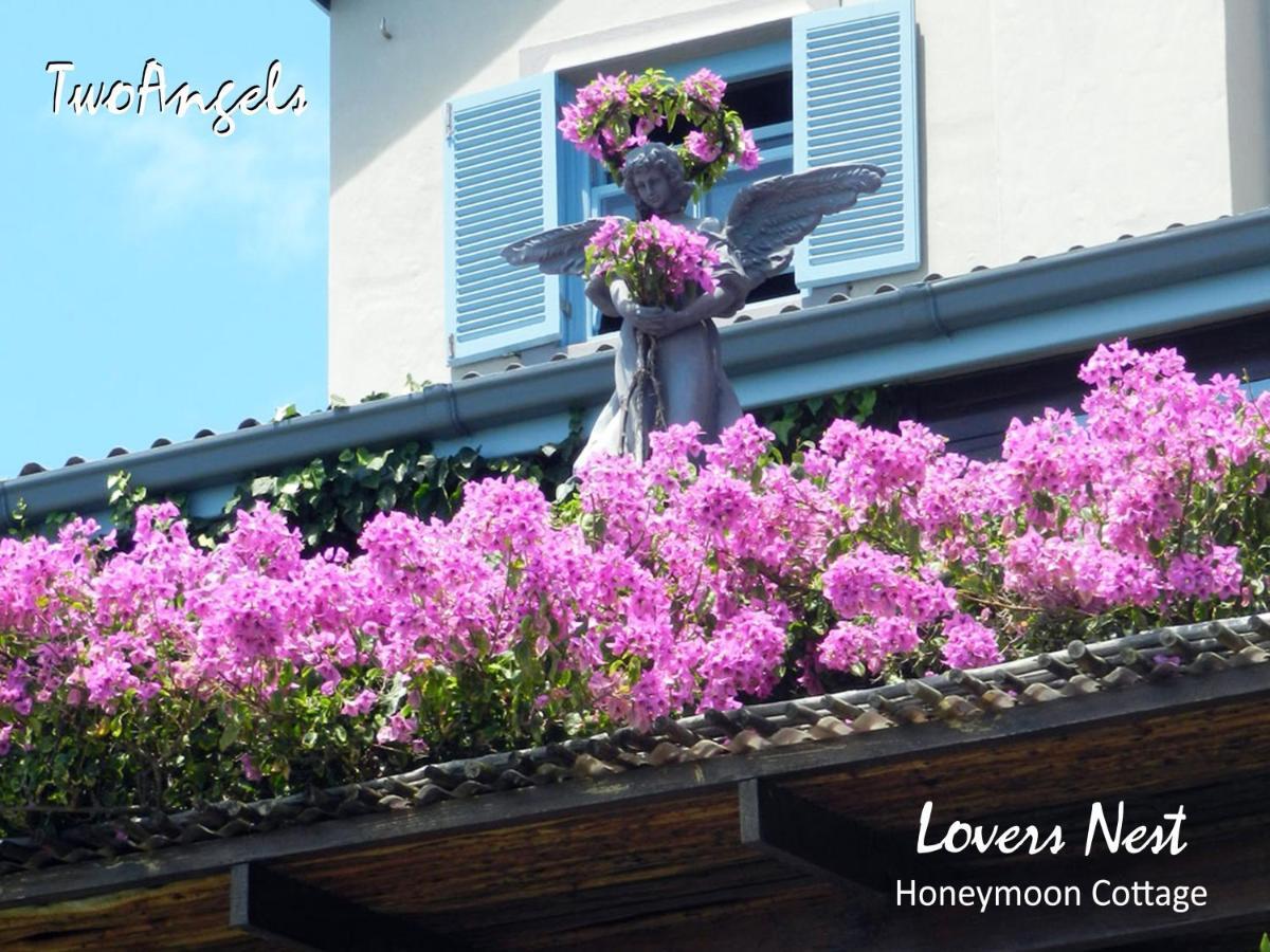 Twoangels Hotel Knysna Buitenkant foto